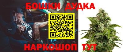 дживик Заводоуковск