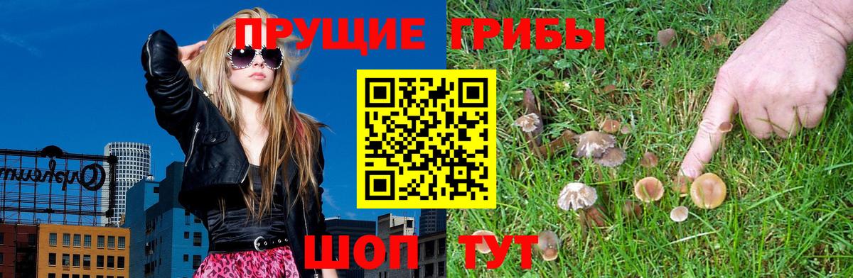 наркошоп  Псилоцибиновые грибы GOLDEN TEACHER  Вход с VPN  Люберцы 