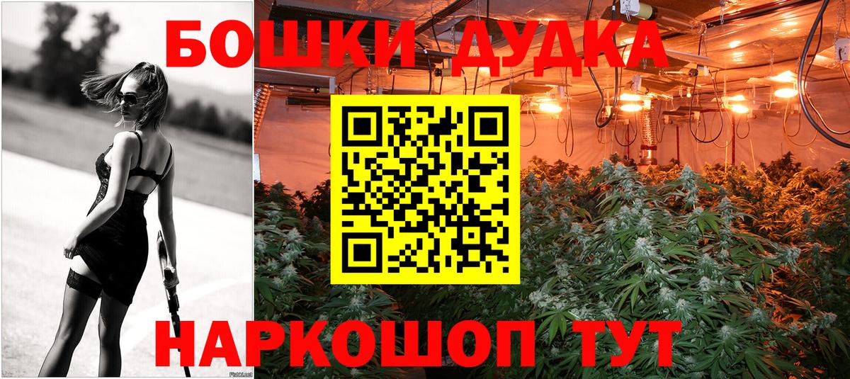 Конопля сатива Люберцы